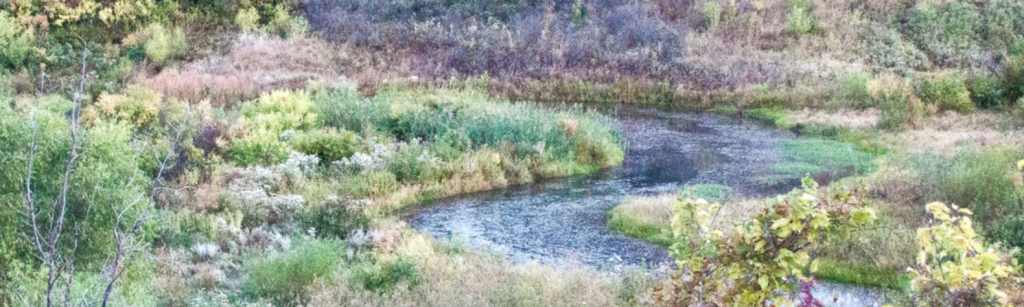 Kanopolis Lake Kansas green landscape